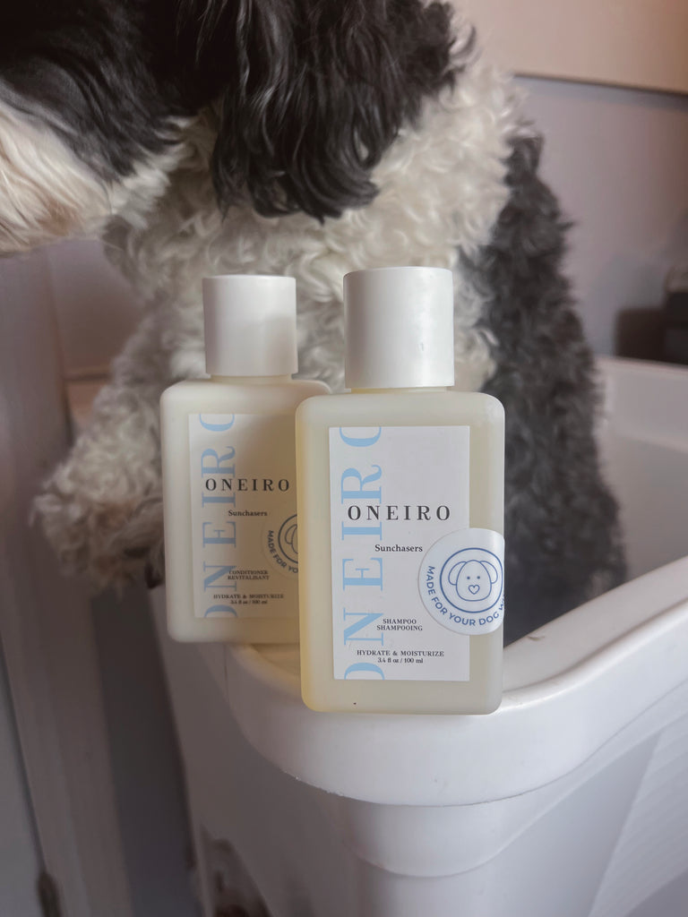 Pamper Your Dog: A Guide to a Luxurious Dog Bath Care Routine at Home